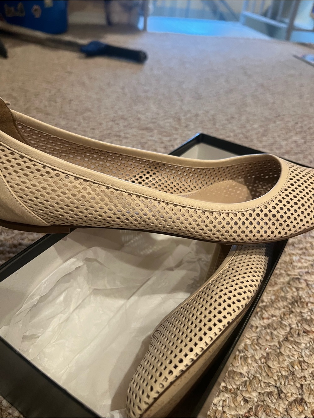 J. Crew Beige Perforated Ballet Flats